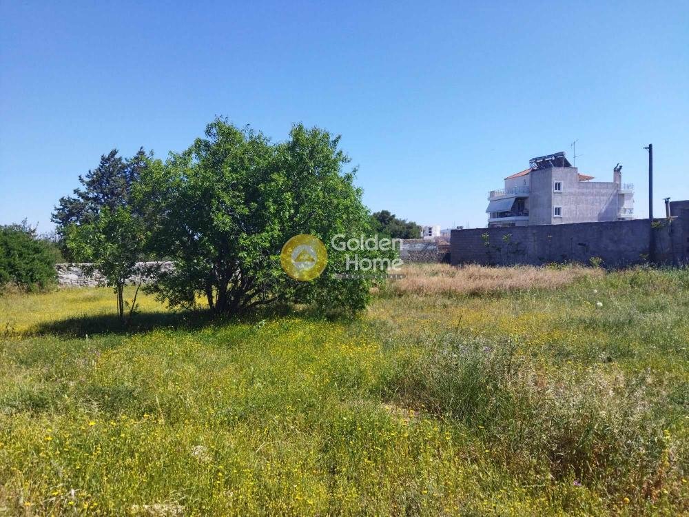 Land in Spata-Loutsa, Attica, Greece 4 - 14361145