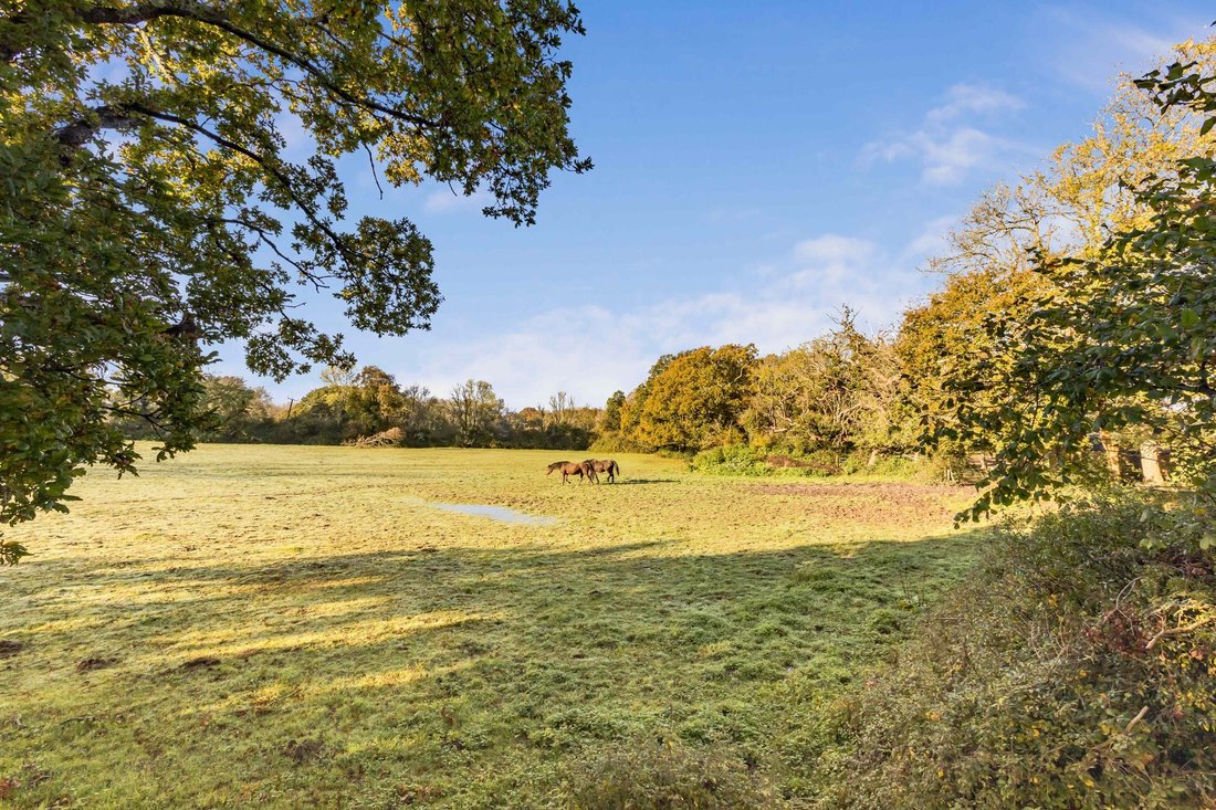 House Crowborough In Wadhurst, England, United Kingdom For Sale (14854216)