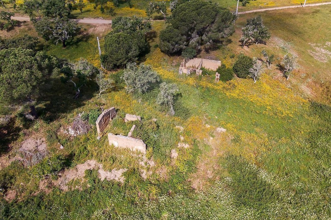 Land in Melides, Setubal, Portugal 5 - 14854951