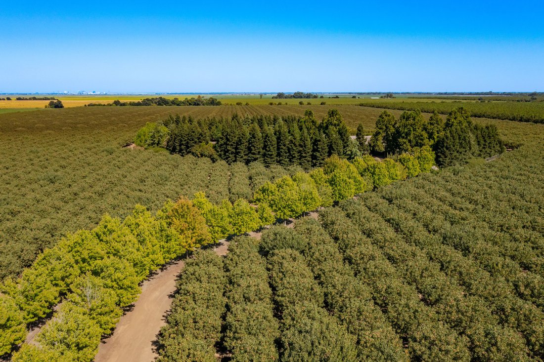 28193 Mace Blvd. In Davis, California, United States For Sale (14856551)