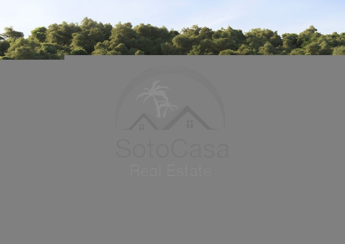 Villa in Sotogrande, San Roque, Andalusia 2 - 14856977