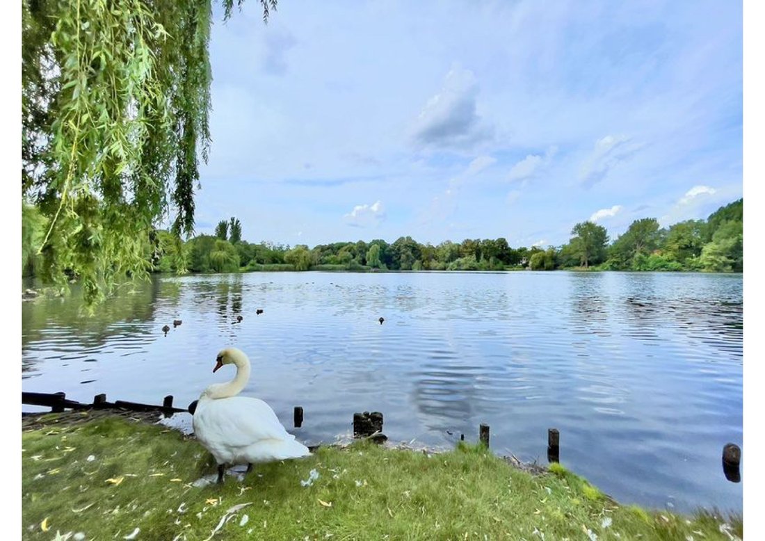 Berlin Apartment In Berlin, Berlin, Germany For Sale (14857565)