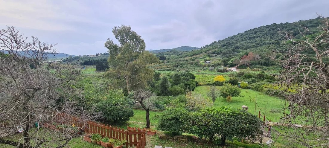 Villa in Marina di Campo, Tuscany, Italy 5 - 14862003