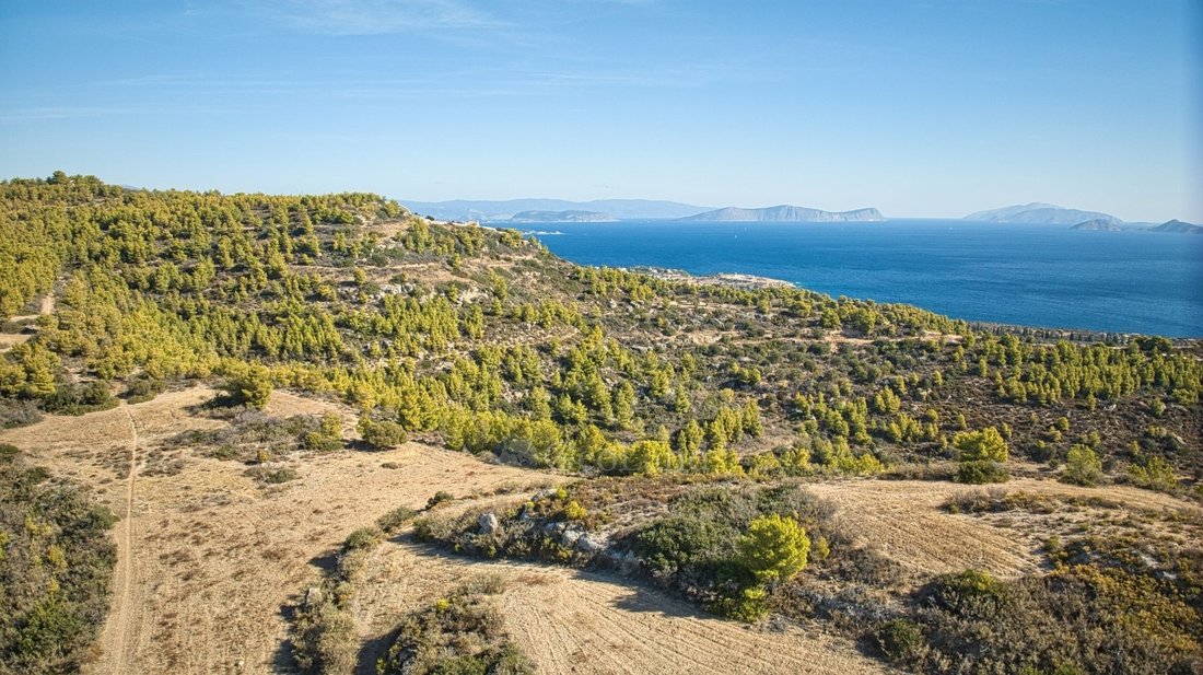 Land in Spetses, Attica, Greece 4 - 14859247