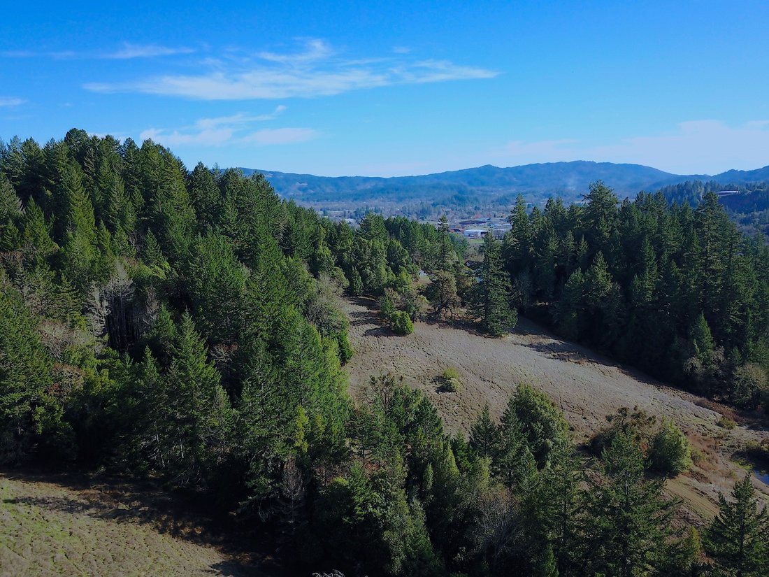 Private Parcel With Potential In Willits, California, United States For
