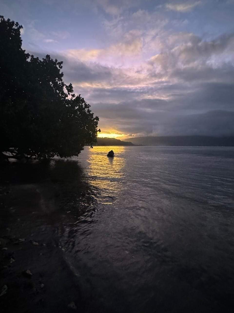 House in Taiarapu-Est, Windward Islands, French Polynesia 5 - 14859665