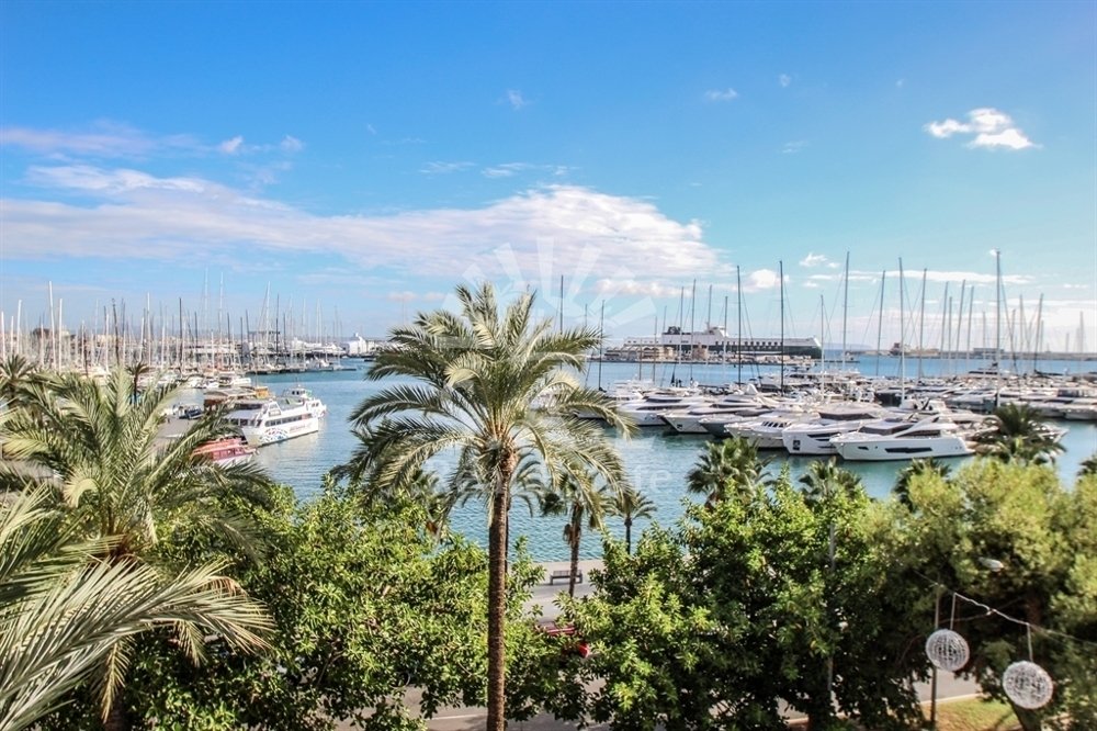 Apartment in Palma, Balearic Islands, Spain 4 - 12397018