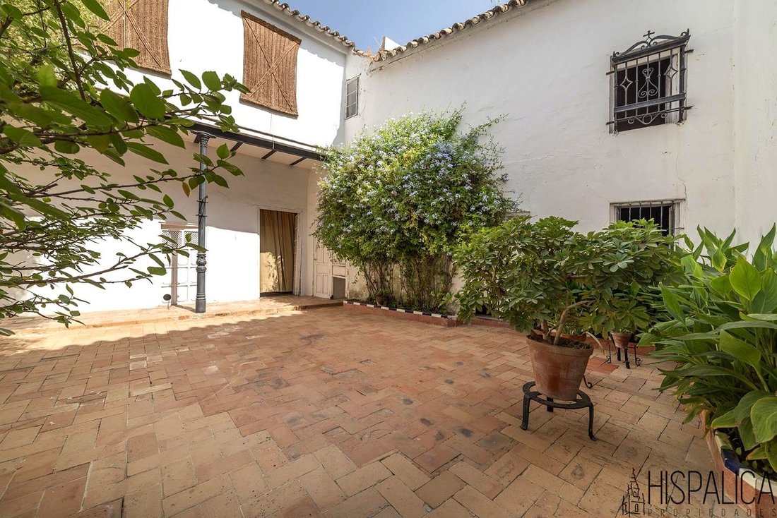House in Ecija, Andalusia, Spain 2 - 14802349