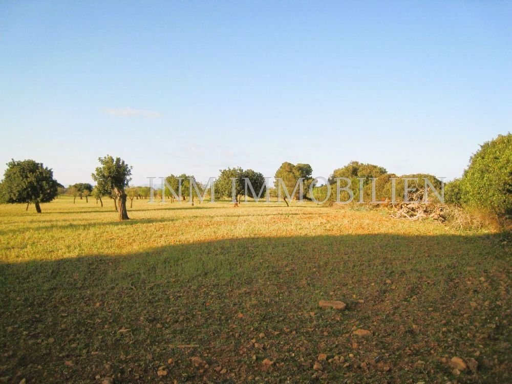 Finca in Santa Margalida, Balearic Islands, Spain 4 - 13548273