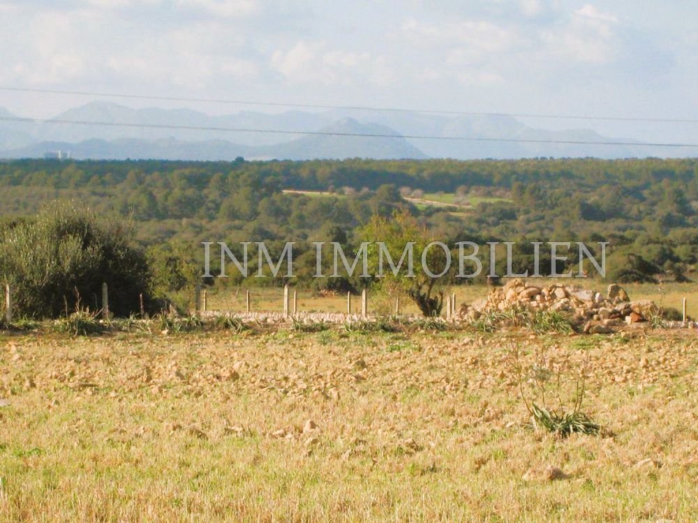 Finca in Santa Margalida, Balearic Islands, Spain 3 - 13548273