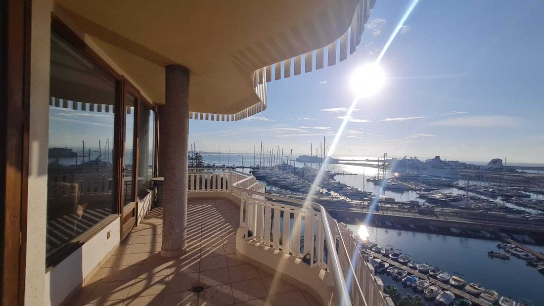 Apartment in Palma, Balearic Islands, Spain 1 - 14863763