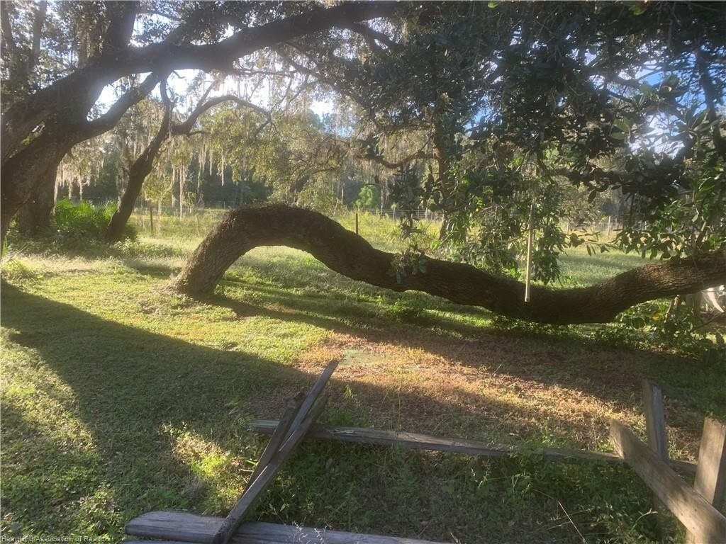 House in Venus, Florida, United States 4 - 14865417