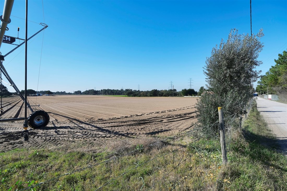 Land in Palmela, Setubal, Portugal 4 - 14865877