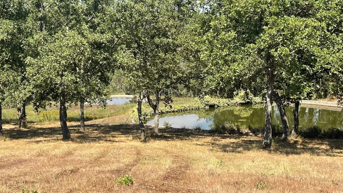Estate in Bagnols-en-Forêt, Provence-Alpes-Côte d'Azur, France 4 - 14565137