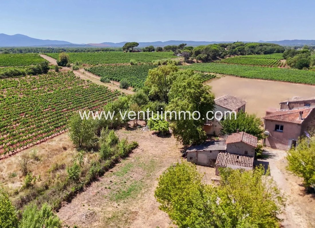 House in Sud, Vidauban, France 1 - 14671002