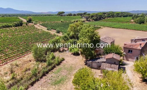 House in Sud, Vidauban, France 1