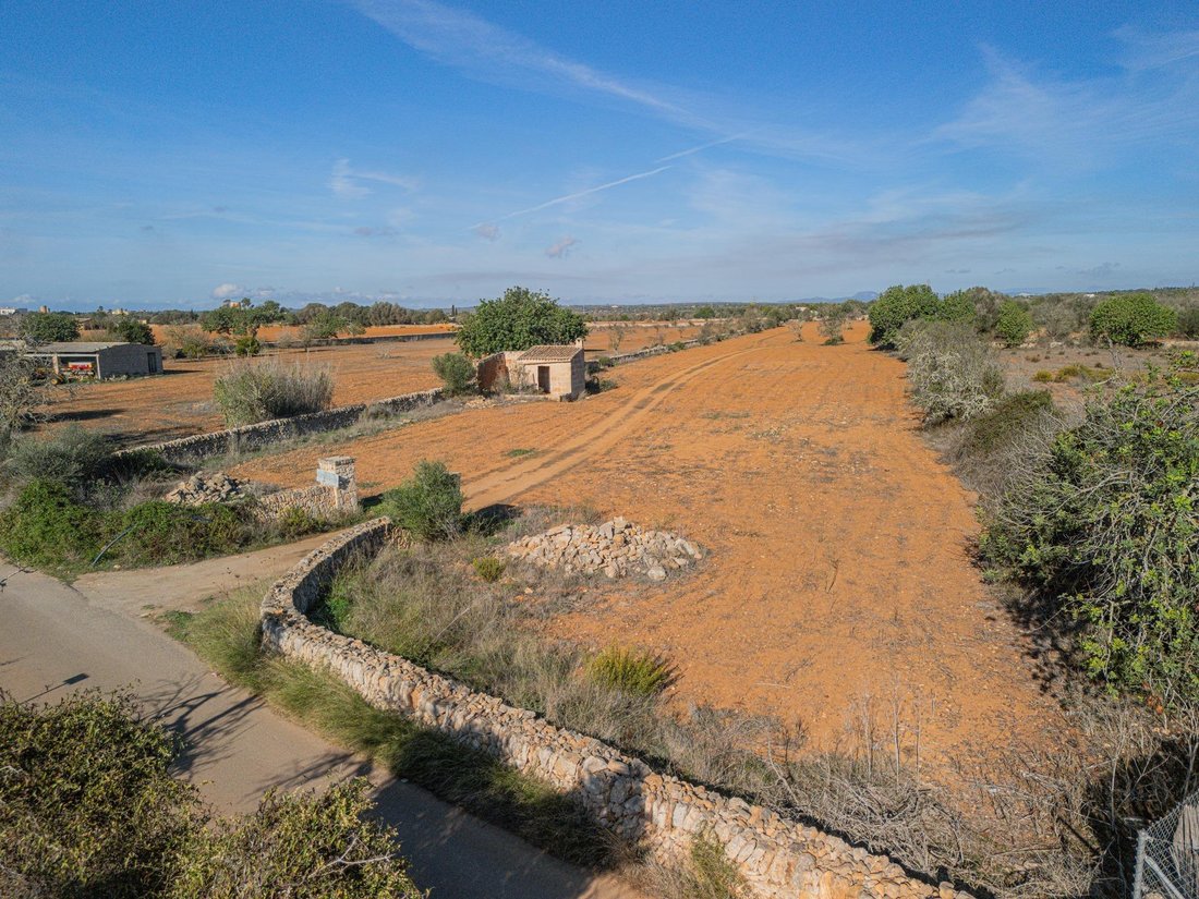 Land in Santanyi, Balearic Islands, Spain 5 - 14868365