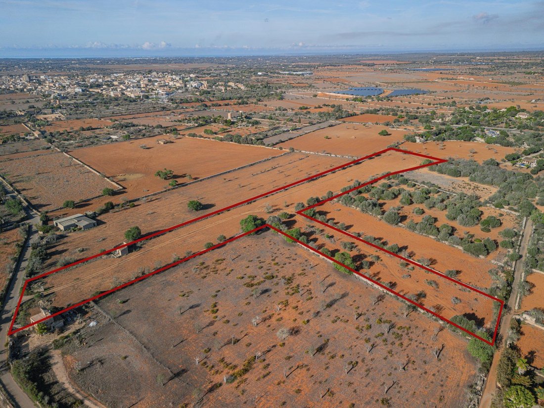 Land in Santanyi, Balearic Islands, Spain 1 - 14868365
