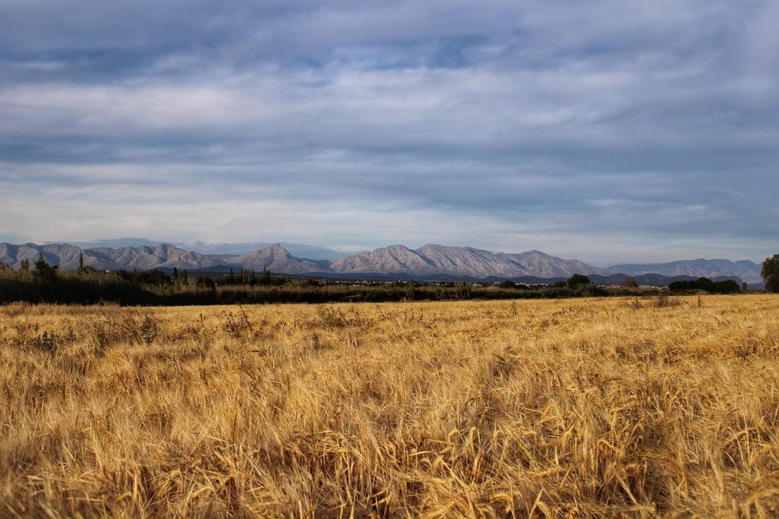 Terreno a Municipalità locale di Oudtshoorn, Capo Occidentale, Sudafrica 3 - 14868855