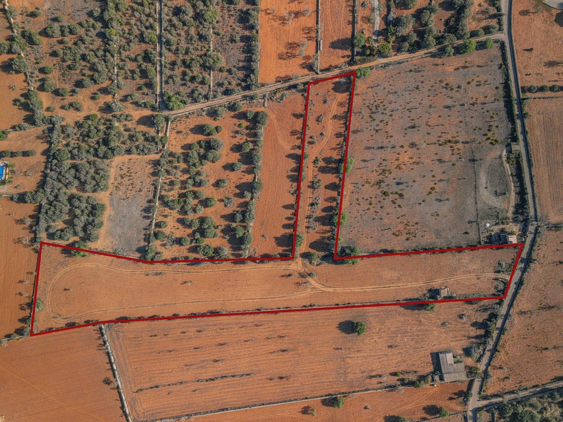 Land in Santanyi, Balearic Islands, Spain 4 - 14868365