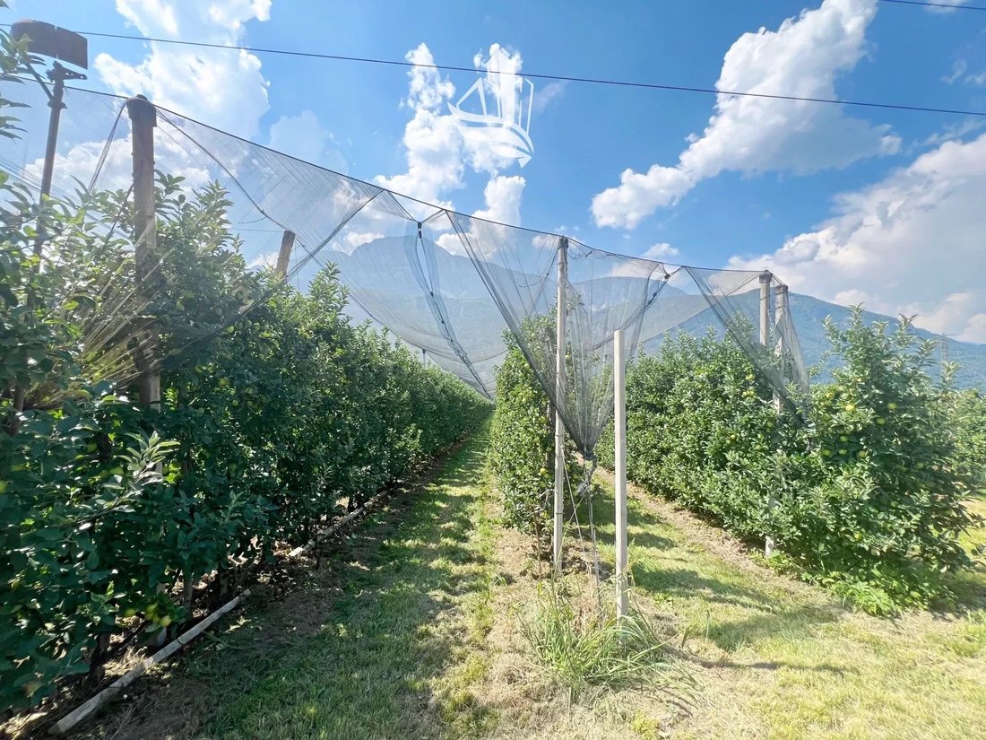Land in Nals, Trentino – Alto Adige/Südtirol, Italy 4 - 14695397