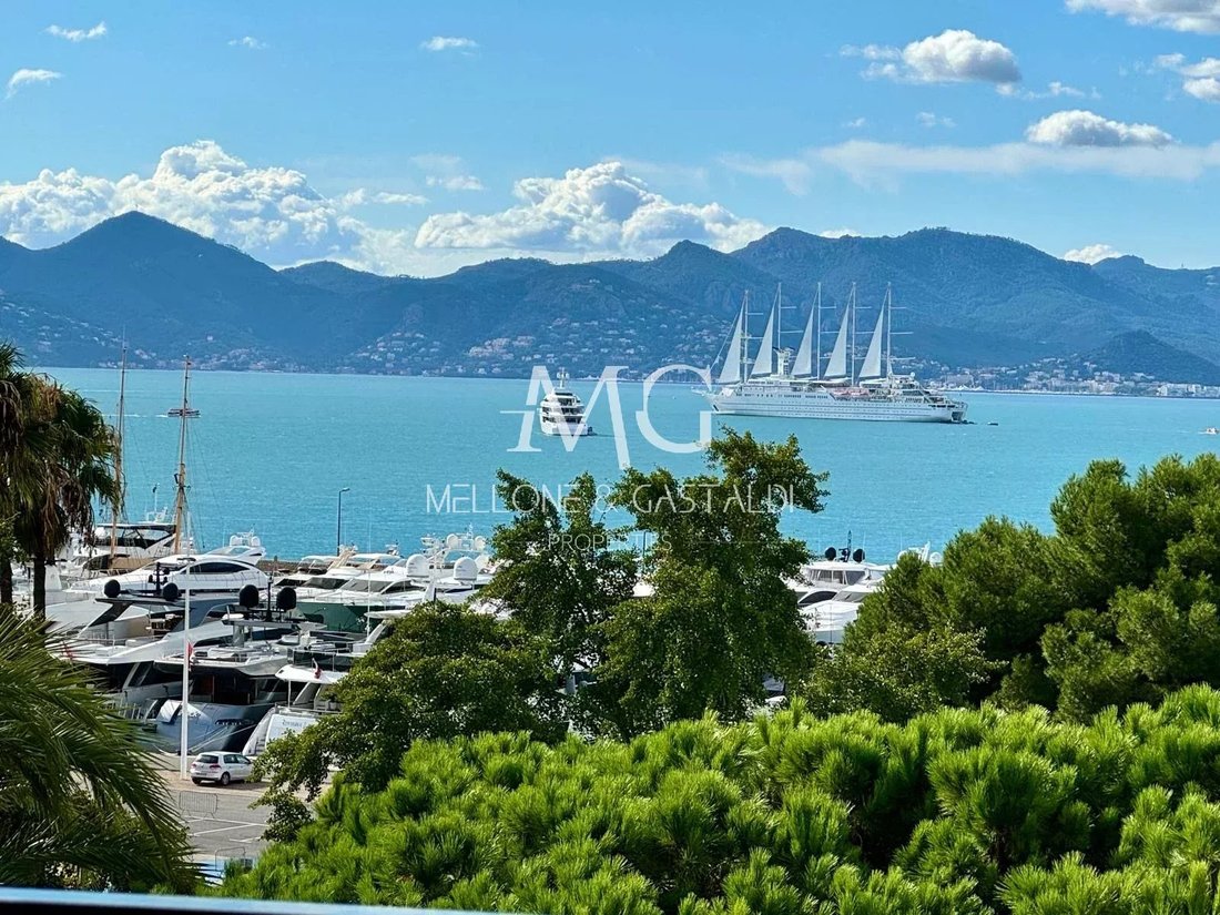 Apartment in Cannes, Provence-Alpes-Côte d'Azur, France 1 - 14793060