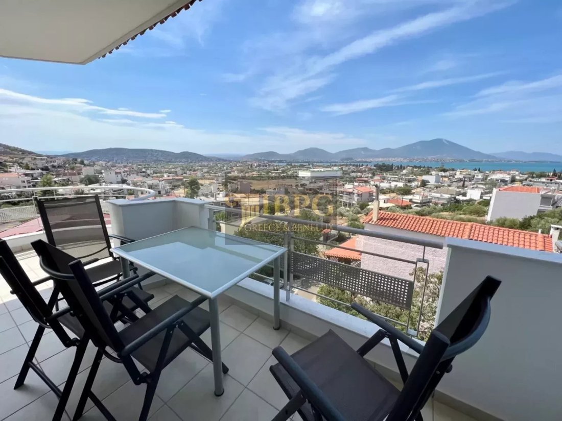 Chalkida, Thessaly and Central Greece, Greece 2 - 13039705