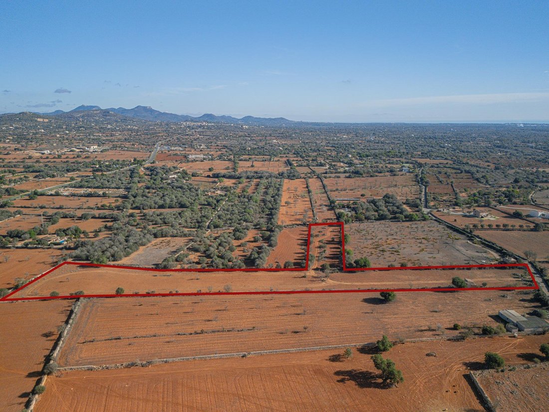 Land in Santanyi, Balearic Islands, Spain 3 - 14868365