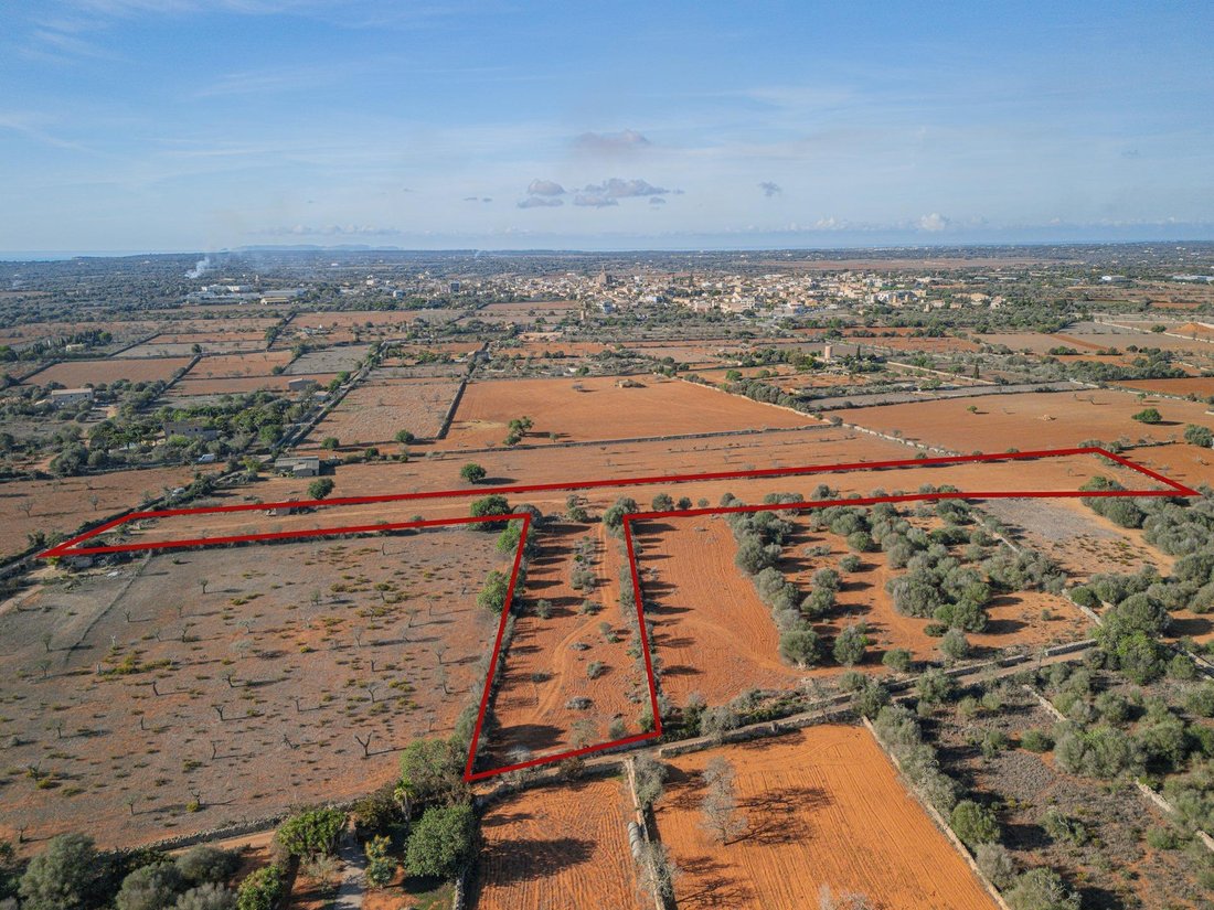 Land in Santanyi, Balearic Islands, Spain 2 - 14868365