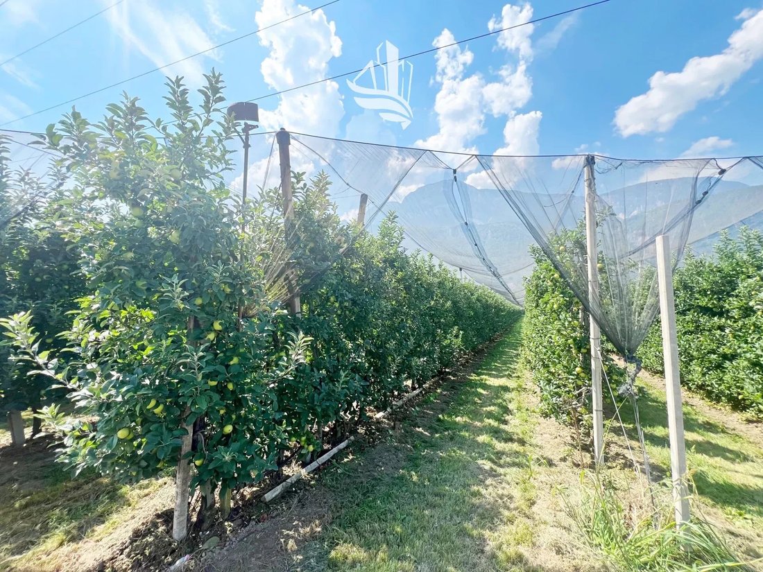 Land in Nals, Trentino – Alto Adige/Südtirol, Italy 3 - 14695397