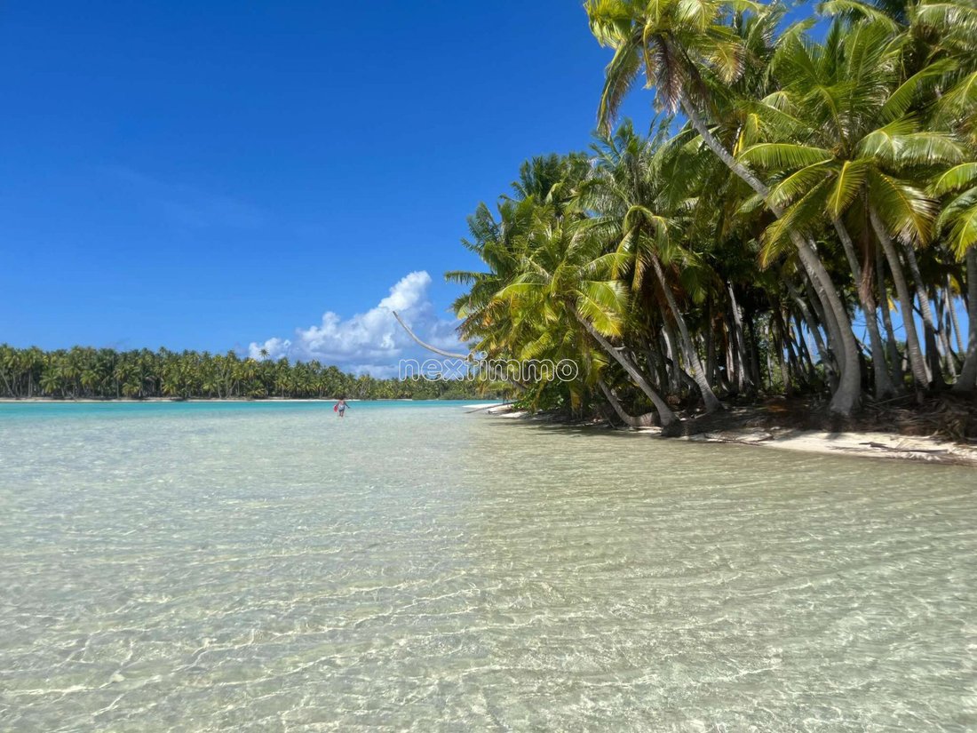 Land in Rangiroa, French Polynesia 2 - 14871221
