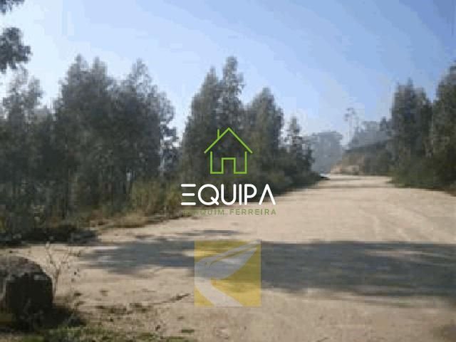 Land in Meixomil, Porto District, Portugal 5 - 14489769