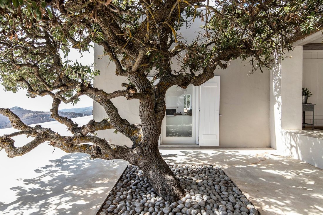 Villa in Kea, Aegean, Greece 5 - 14874802