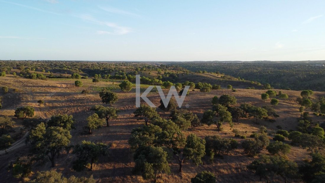 Land in Figueira dos Cavaleiros, Beja District, Portugal 4 - 14503171