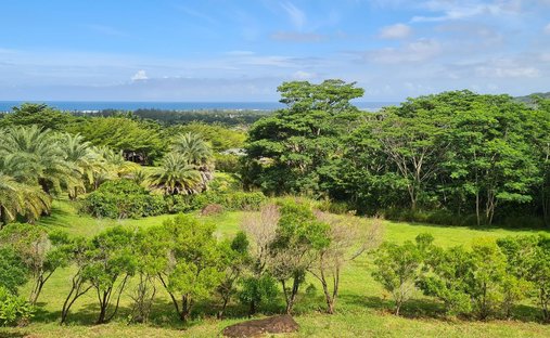 Land in Bel Ombre, Savanne District, Mauritius 1