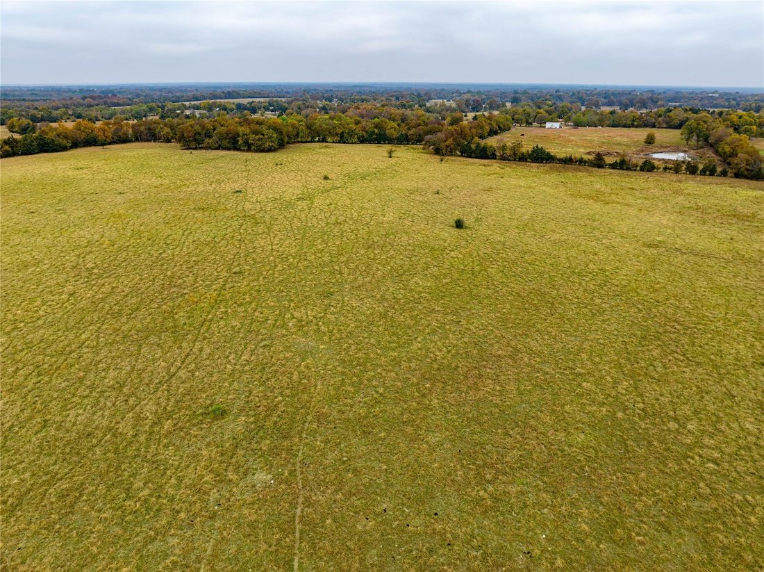 Farm/Ranch In Clarksville, Texas, United States For Sale (14878692)