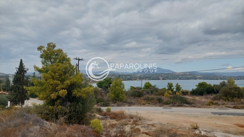 Land in Koinotita Kranidiou, Kranidi, Greece 5 - 14879372
