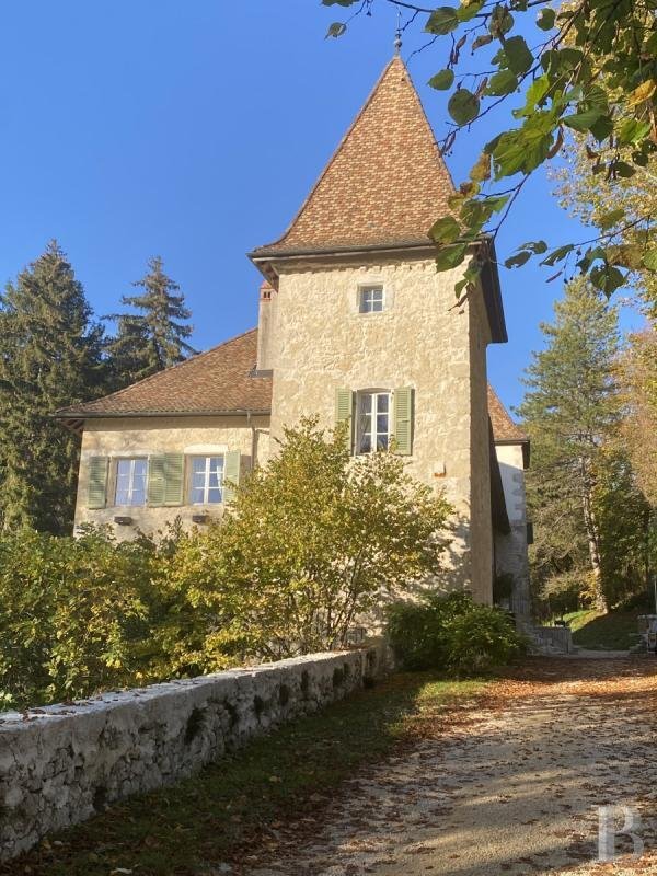 Whispers of the Alps: A Secluded Château Crowned in Forest and Sky