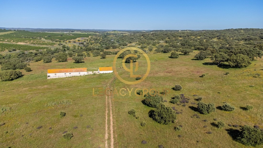 Mora Farmhouse In Pavia, évora, Portugal For Sale (14251009)