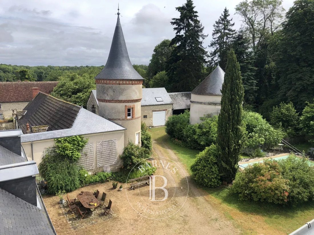 Castle in Sainte-Thorette, Centre-Val de Loire, France 3 - 14531672