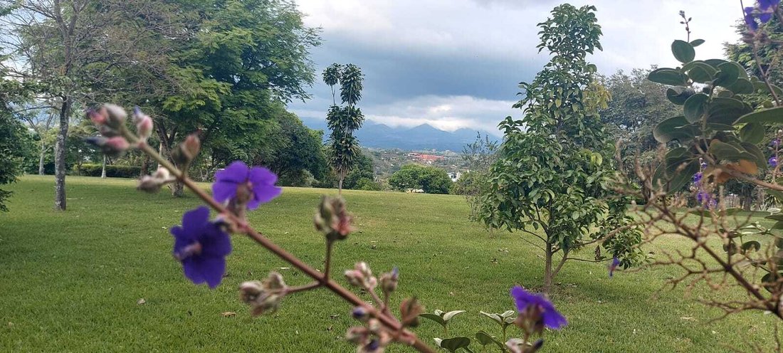 Land in Grecia, Guanacaste Province, Costa Rica 5 - 14887896