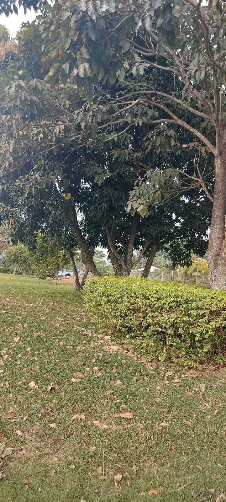 Land in Grecia, Guanacaste Province, Costa Rica 4 - 14887896