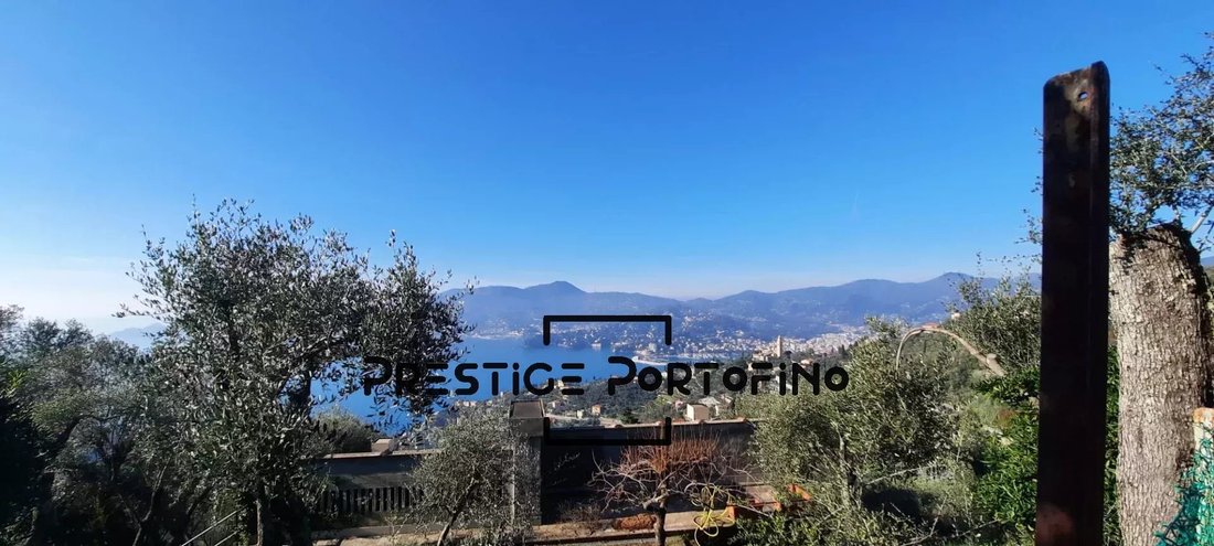 Zoagli, Liguria, Italy 1 - 14102401