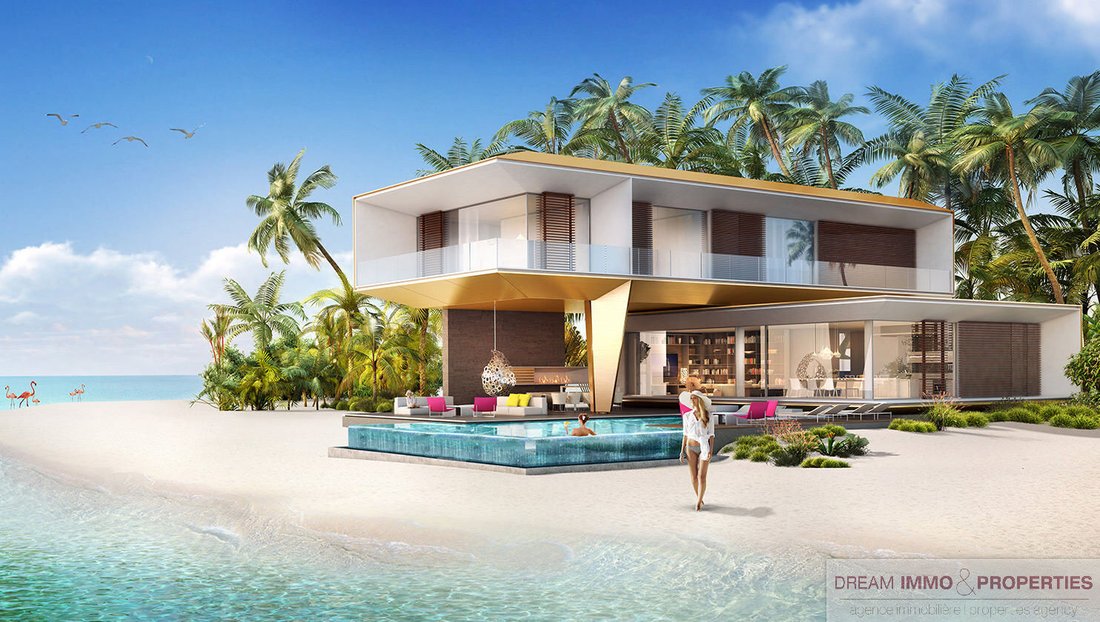 House in Dubai, United Arab Emirates 1 - 14299405