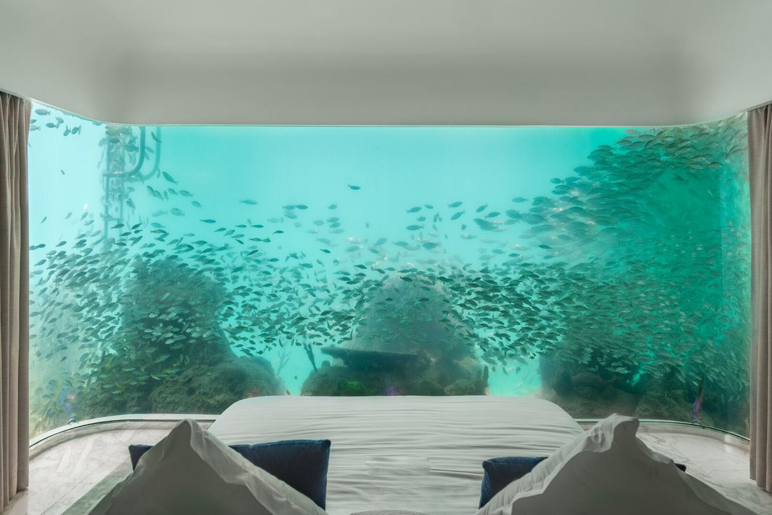 House in Dubai, United Arab Emirates 4 - 14351219