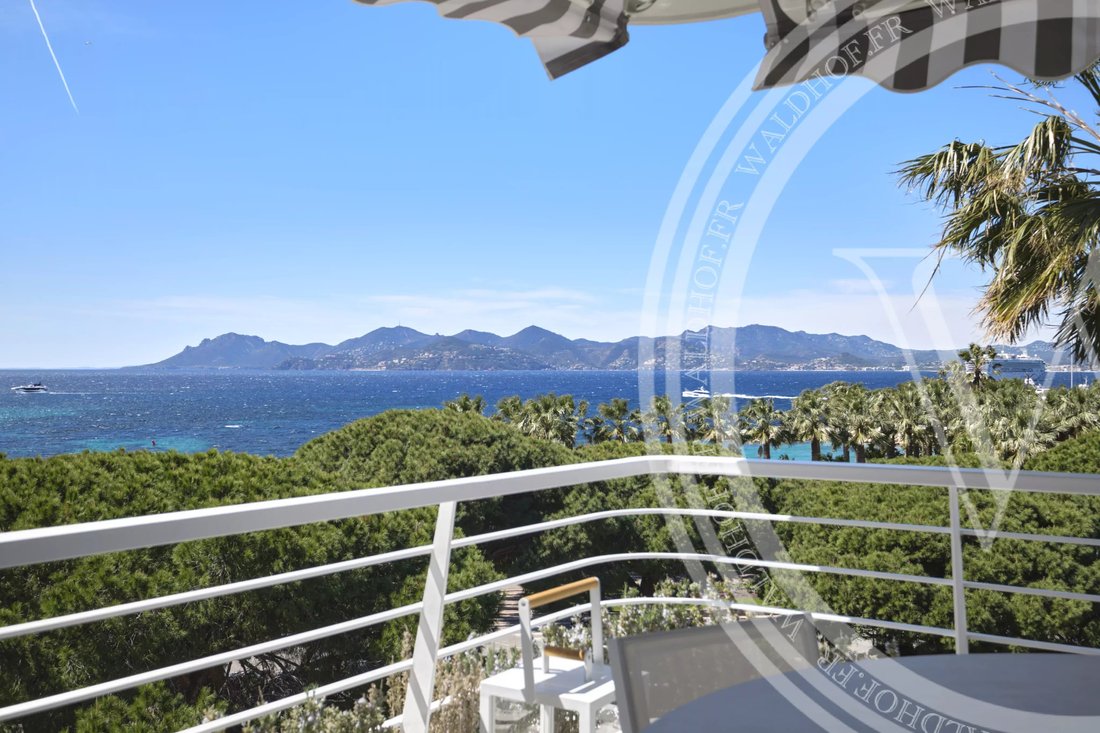 Apartment in Cannes, Provence-Alpes-Côte d'Azur, France 1 - 14377556