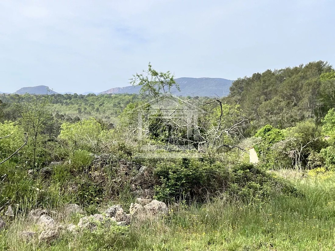 Estate in Fayence, Provence-Alpes-Côte d'Azur, France 4 - 14109914