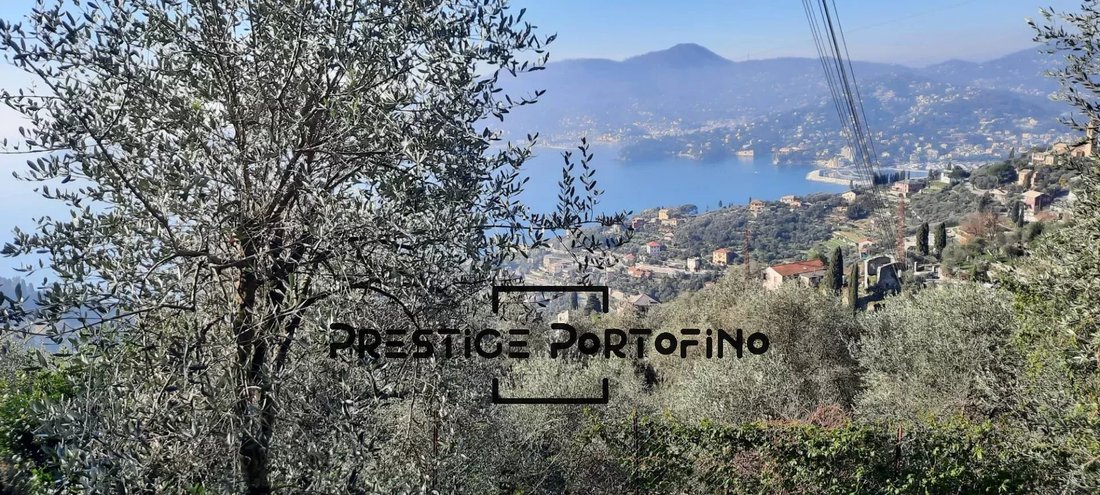 Zoagli, Liguria, Italy 4 - 14102401