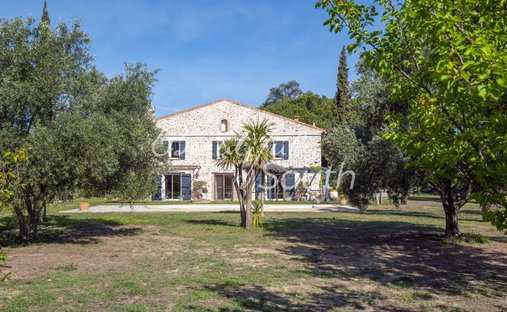 Country House in Villeneuve-la-Riviere, Occitania, France 1