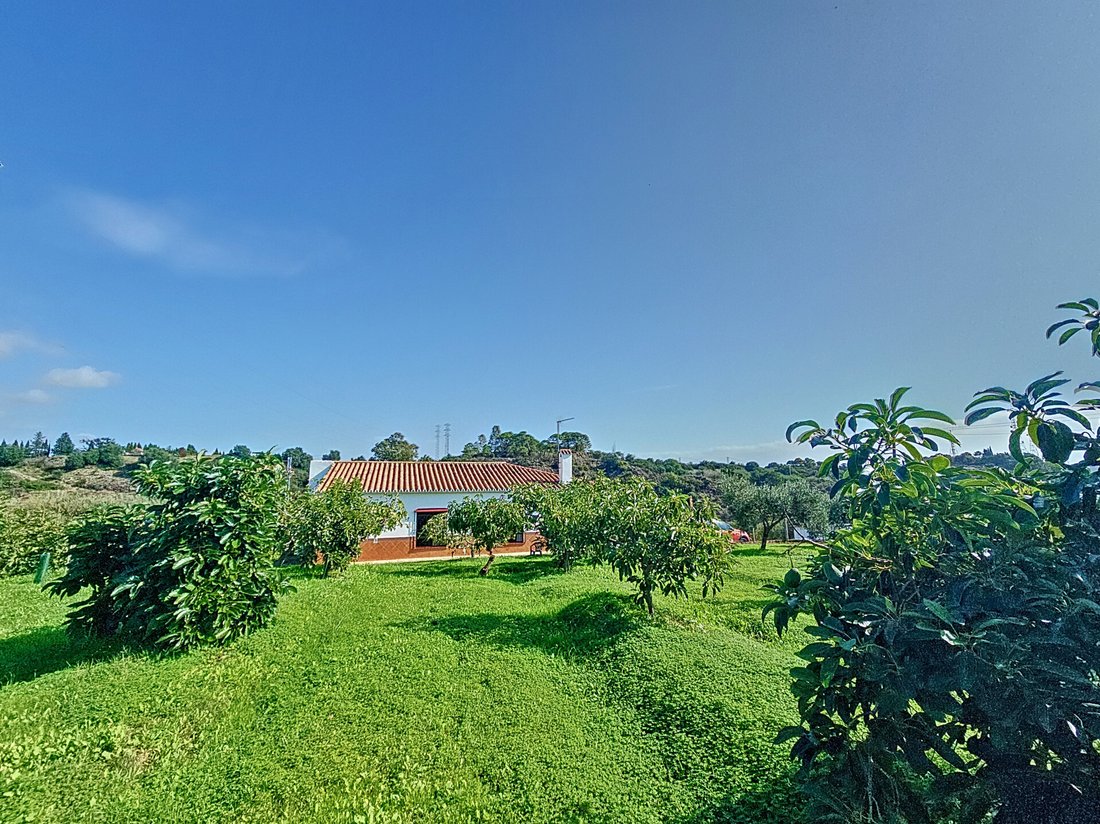 Finca in Estepona, Andalusia, Spain 2 - 14888730